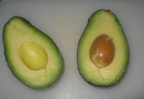 avocado