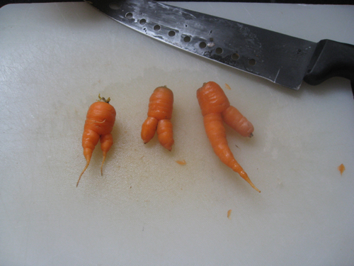 freak carrots