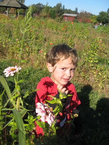 kid in flowers