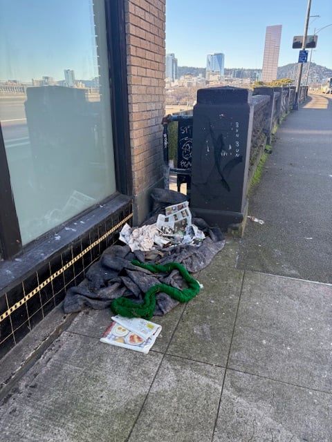 A nest made of a gray blanket, some kind of green fabric, and loose sheets of newspaper up against the side of a building at the pedestrian entrance to the bridge. The skyline of the far shore is seen in the background.