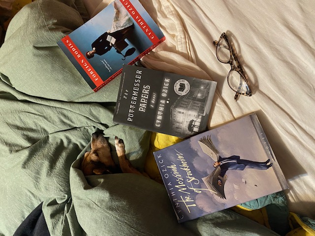 A chihuahua tucked under a blanket next to copies of The Messiah of Stockholm, The Puttermesser Papers, and Foreign Bodies by Cynthia Ozick